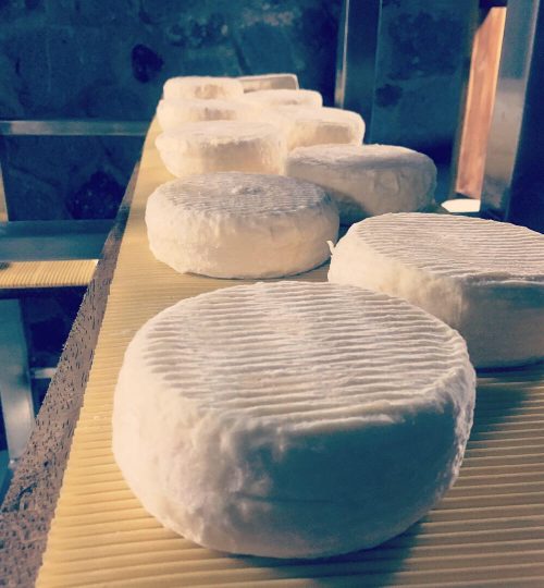 3D4C3DFF-9F04-4AF1-B725-ED359692C5CA