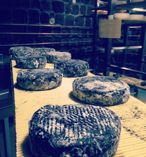 8FEA21ED-B544-4103-846B-B550E919DE57